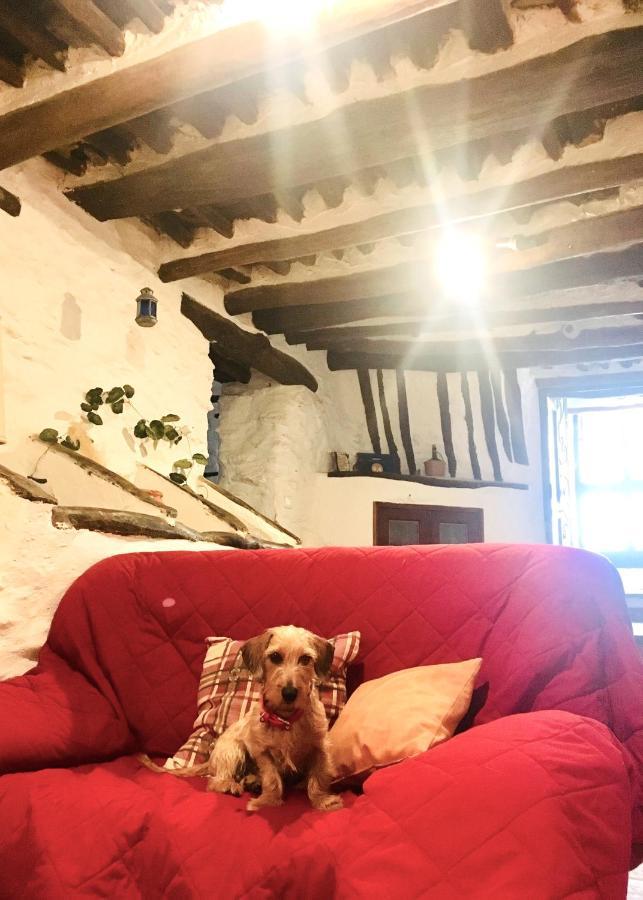 Apartamento El Refugio De Mecina Mecina Fondales Dış mekan fotoğraf