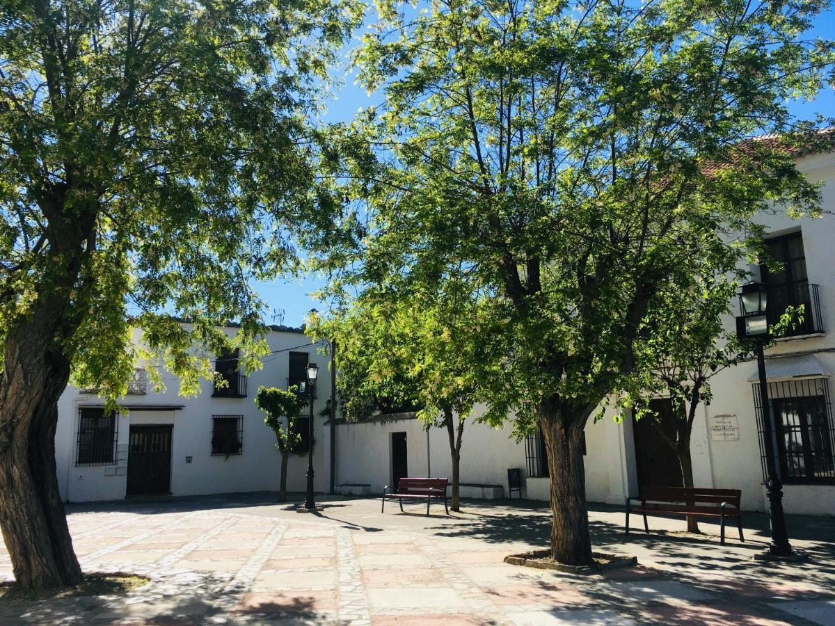 Apartamento El Refugio De Mecina Mecina Fondales Dış mekan fotoğraf