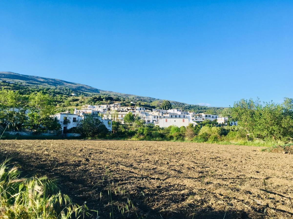 Apartamento El Refugio De Mecina Mecina Fondales Dış mekan fotoğraf